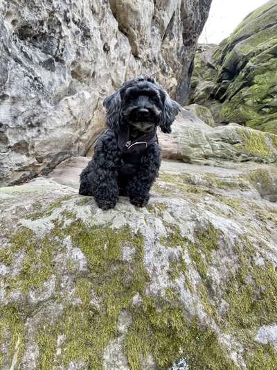 Fotochallenge No. 26                                     Wald und Wiese-Beitrag-Bild