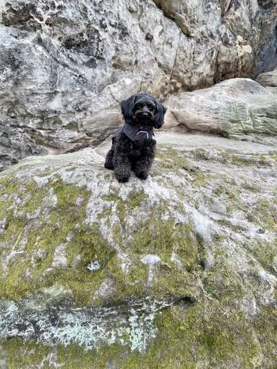 Fotochallenge No. 26                                     Wald und Wiese-Beitrag-Bild