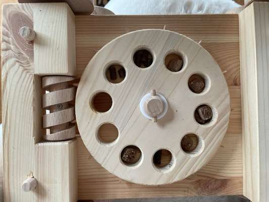 Trick Challenge Nr. 21 Treibball-Beitrag-Bild