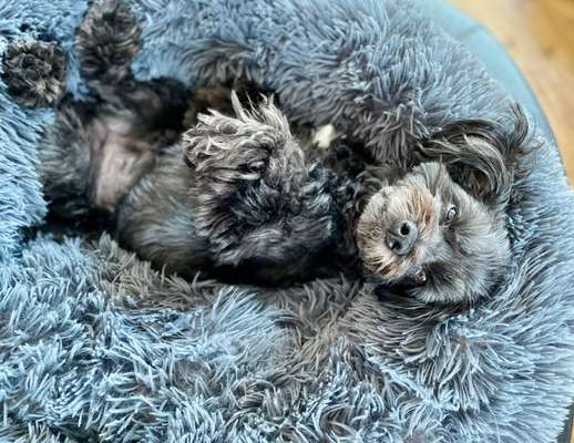 FOTO-Challenge  NR. 91: Die pure Entspannung-Beitrag-Bild