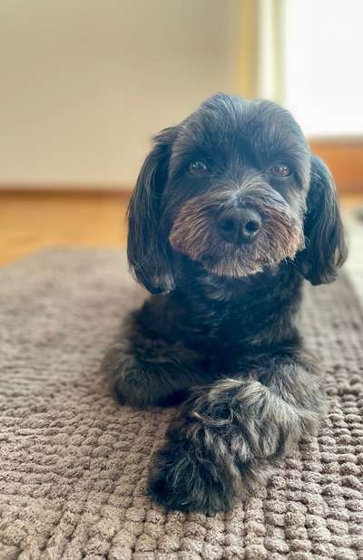 Trick Challenge Nr. 28: Slalom rückwärts-Beitrag-Bild