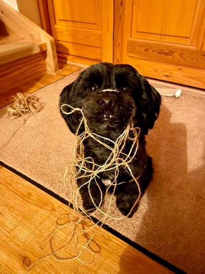 Fotochallenge 113: Auf frsicher Tat ertappt-Beitrag-Bild