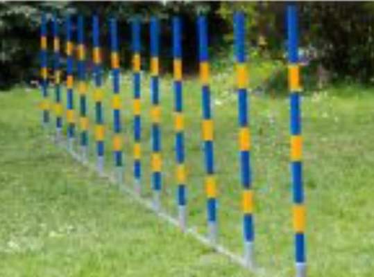 38. Trick Challenge: Slalom durch die Arme-Beitrag-Bild