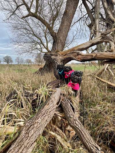 27. Handy Fotochallenge-Beitrag-Bild