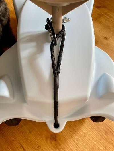 Top Dog-der Live Ticker Thread-Beitrag-Bild