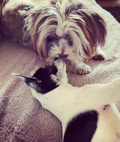 Moviestar-Pics!-Beitrag-Bild