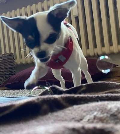 Lustige Grimassen & verrückte Posen-Beitrag-Bild