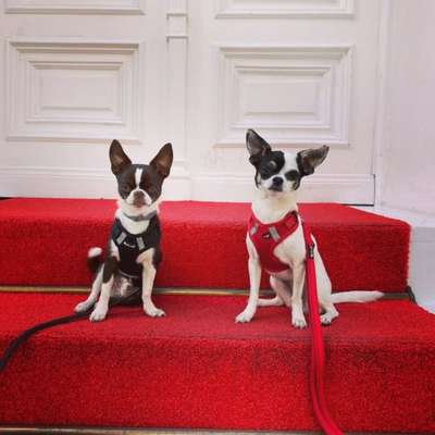 Moviestar-Pics!-Beitrag-Bild