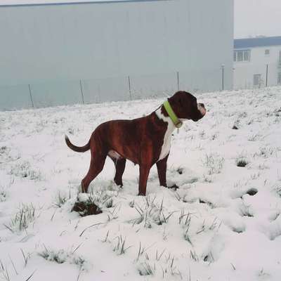 Zeigt mir eure Lieblingsfotos ♡♡-Beitrag-Bild