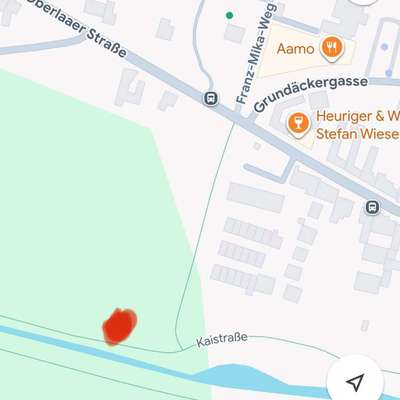 Giftköder-Nägel in Wurst-Bild