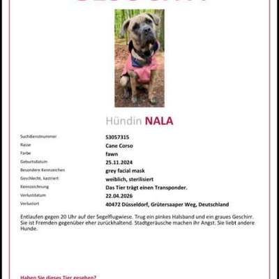 Suchmeldung-Nala-Bild