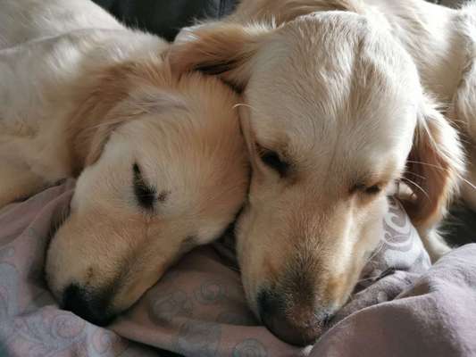 Foto Challange Nr.80-Beitrag-Bild