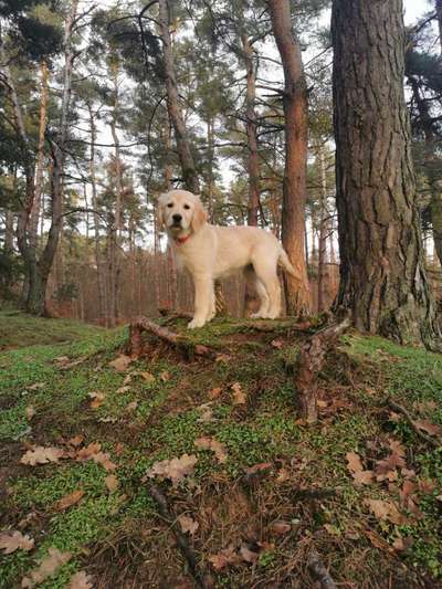 Foto Challenge Nr. 79-Beitrag-Bild