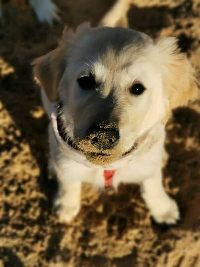 Fotochallange Nr. 57     PORTRÄT.   Beendet!!!!!!!!-Beitrag-Bild