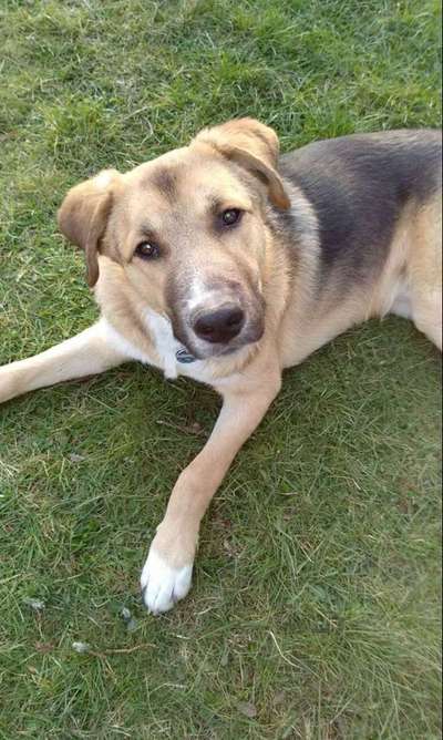 Fotochallange Nr. 57     PORTRÄT.   Beendet!!!!!!!!-Beitrag-Bild