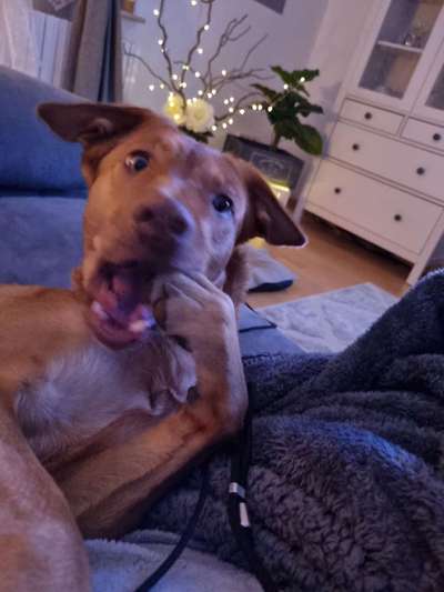 Lieblingsbild-Beitrag-Bild