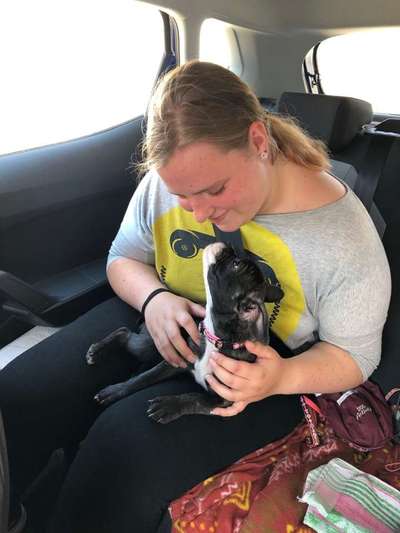 Das erste Foto-Beitrag-Bild