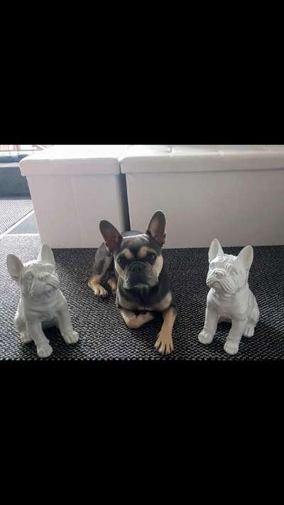 Handy-Foto-Challange Nr. 8-Beitrag-Bild