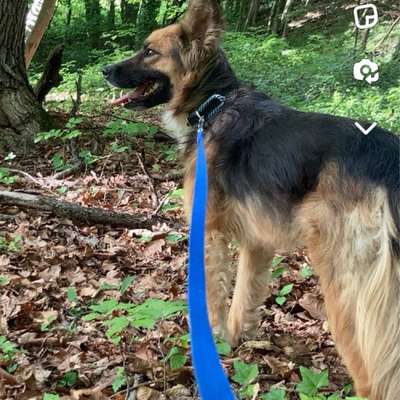 Suchmeldung-Suki [Breeze]-Bild