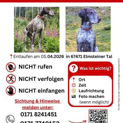 Suchmeldung-Theo-Bild