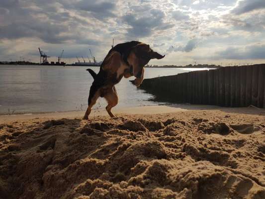 35. Handy Foto Challenge - Das nasse Element-Beitrag-Bild