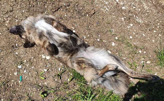 Fotochallenge Nr.65-Beitrag-Bild