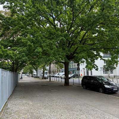 Giftköder-Eichenprozessionsspinner-Bild