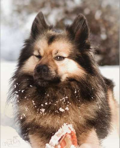 Fotochallange Nr. 57     PORTRÄT.   Beendet!!!!!!!!-Beitrag-Bild