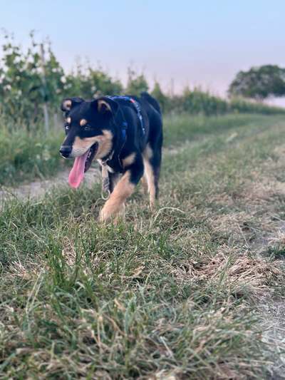 17. Farben Foto Challenge: Pastellfarben-Beitrag-Bild