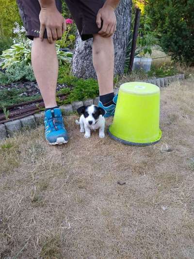 Lieblings Schnappschuss?-Beitrag-Bild