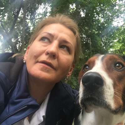 Hundetreffen-Anti Jagd Trainer gesucht-Profilbild