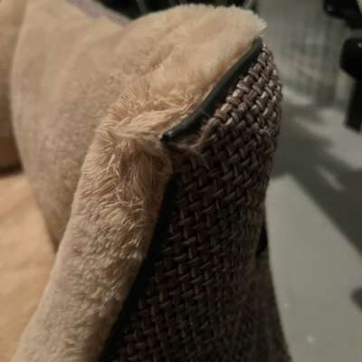 Hundebett Lebon Louis Plus braun-Beitrag-Bild