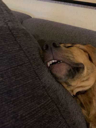 Her mit dem Grimassen-Beitrag-Bild