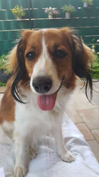 Fotochallange Nr. 57     PORTRÄT.   Beendet!!!!!!!!-Beitrag-Bild