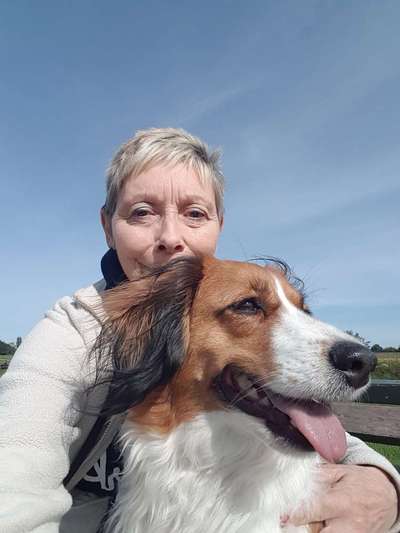 Die lustigsten Selfies mit Deinem Hund !-Beitrag-Bild