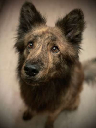 Fotochallange Nr. 57     PORTRÄT.   Beendet!!!!!!!!-Beitrag-Bild