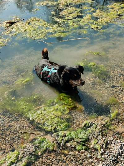 Fotochallenge 27-Beitrag-Bild