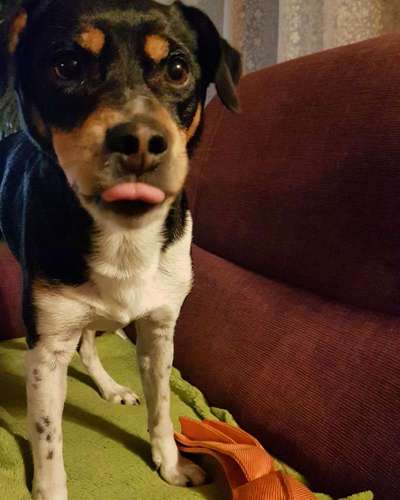 Lustige Grimassen & verrückte Posen-Beitrag-Bild