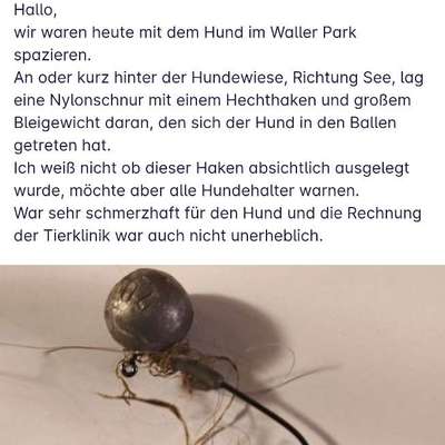 Giftköder-Angelhaken - Hundefreilauf Waller Park-Bild