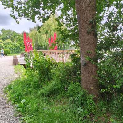 Giftköder-EPS beim Il Lago und rund um den See-Bild