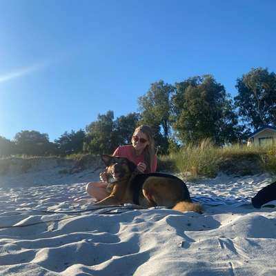 Hundetreffen-Gemütliche Gassirunden & plaudern