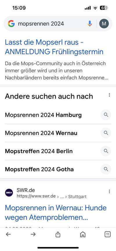 Große Dackel-Parade in Regensburg geplant - Was denkt ihr?-Beitrag-Bild