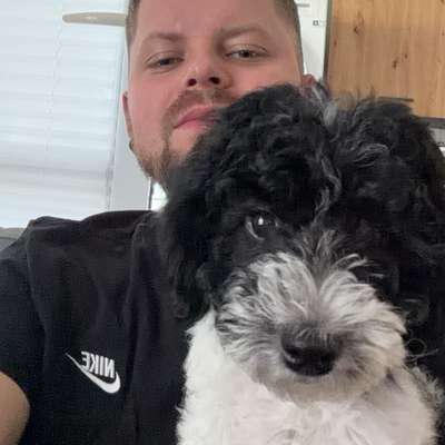 Hundetreffen-Gassi oder spiel Runde-Profilbild