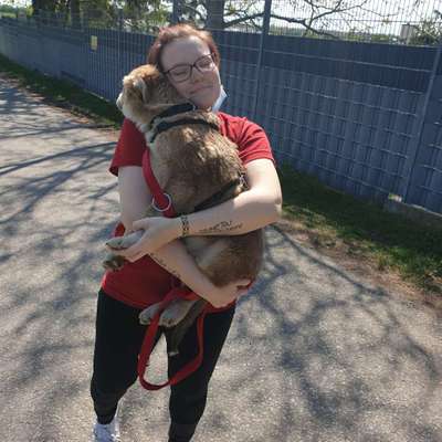 Hundetreffen-Spielende für Grosse & Kleine Hunde-Profilbild