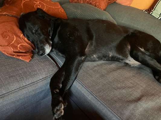 Schlafzeit!💖-Beitrag-Bild