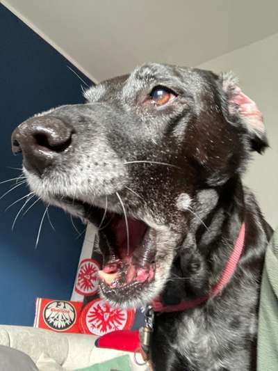 11. Farben Foto Challenge Rot-Beitrag-Bild