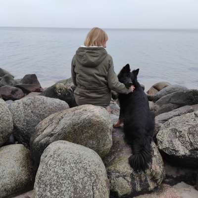 Hundetreffen-Mittagspausen-Spieltreff Nürnberg Innenstadt-Profilbild