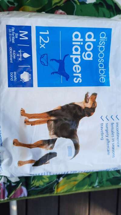 Hundewindeln Läufigkeit-Beitrag-Bild