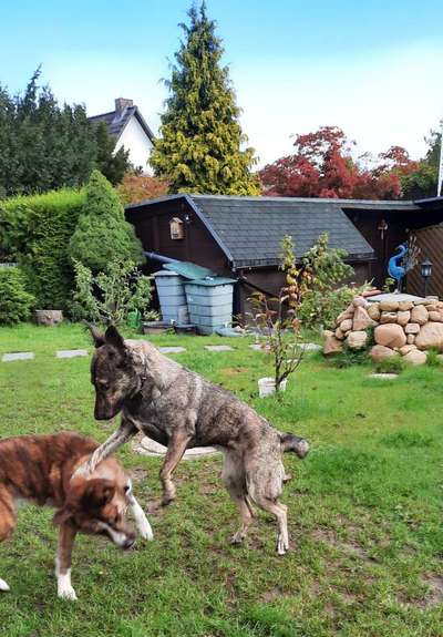 Fotochallenge Nr. 52 „Spring!“-Beitrag-Bild