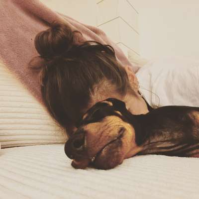 Hundetreffen-Gassirunde in Fischlaken